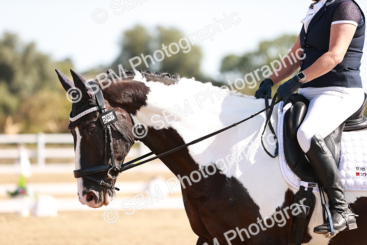 SBM_004338 - Class 12 - Novice 5 - 10.31-11.41