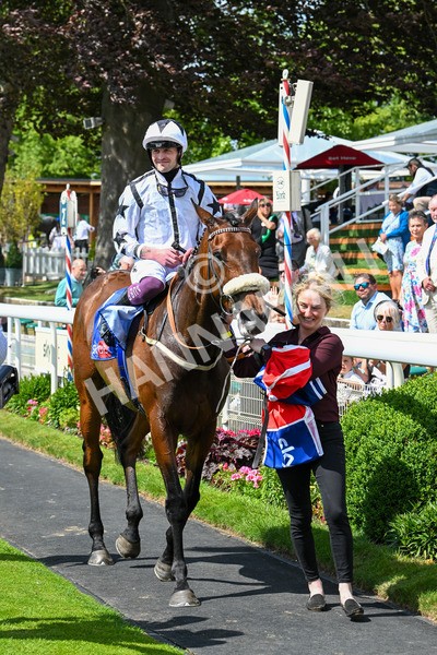 140625-Race 3-Al Qareem-2558 - Race 3 3.00pm Sky Bet Race To The Ebor Grand Cup Stakes