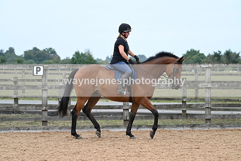 WJ7_8249 - Poles 11:00am