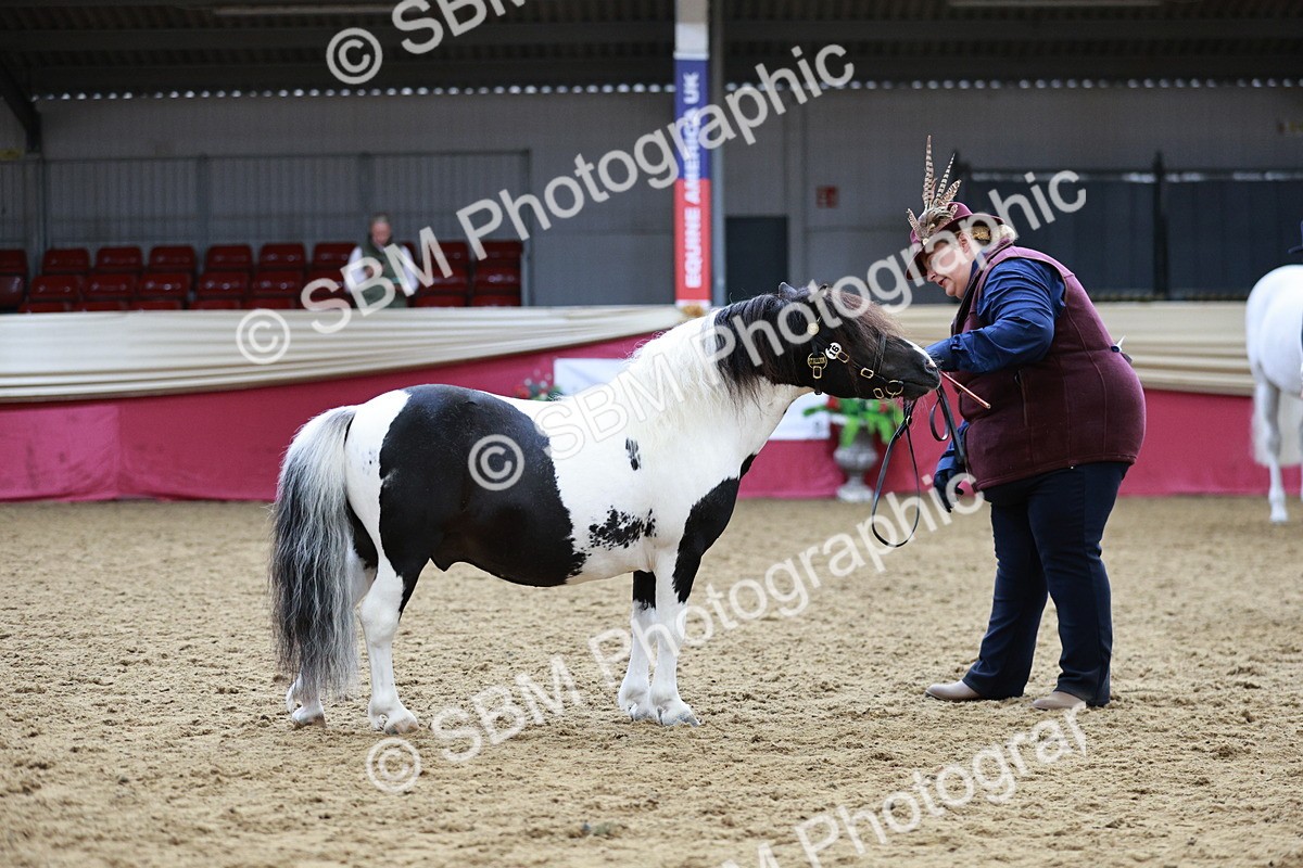 SBM_01262 - Class 3A - Area IH Pre-Vet