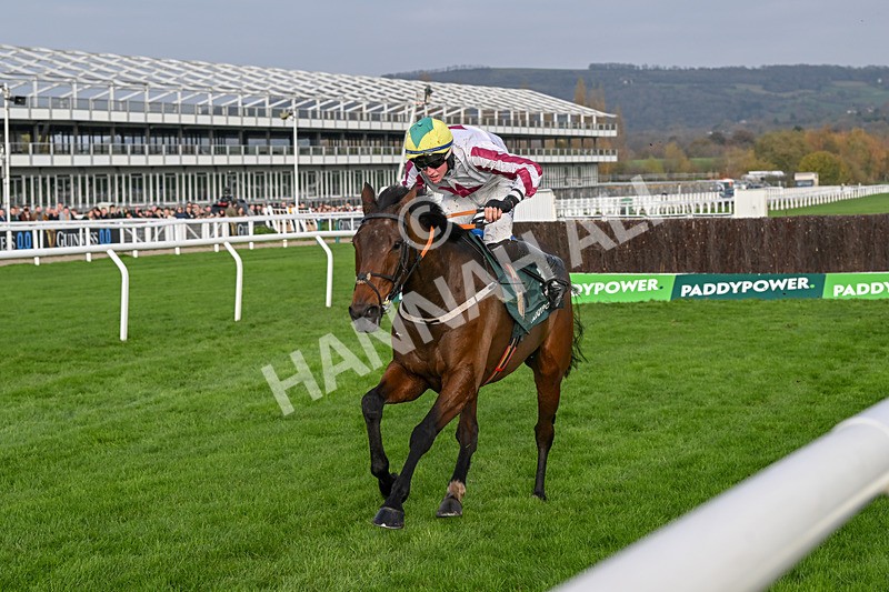 151124-Race 2-Buddy One-7503 - Race 2