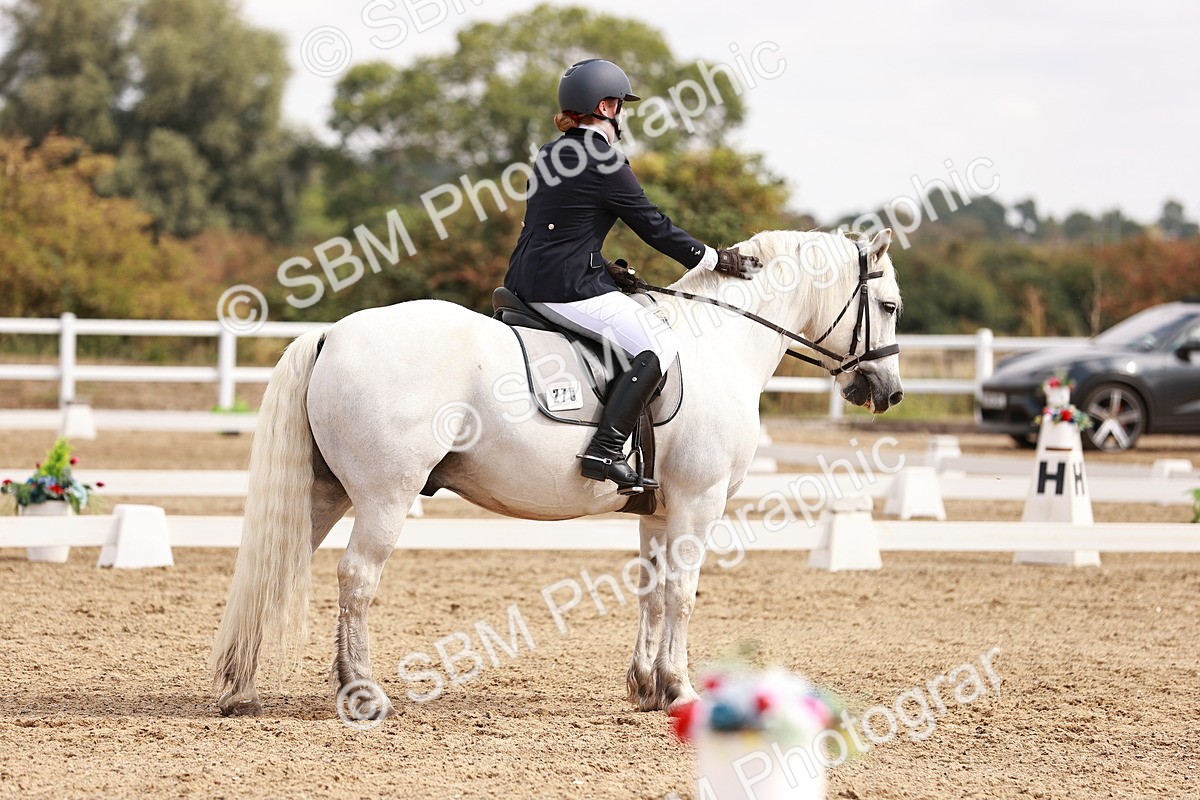 SBM_018032 - Class 15 - Prelim 6