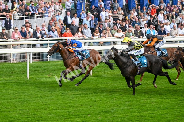 080925-Race 4-Zain Blue-7623 - Race 4 4.00pm Sky Bet Extra Places Middle Distance Handicap