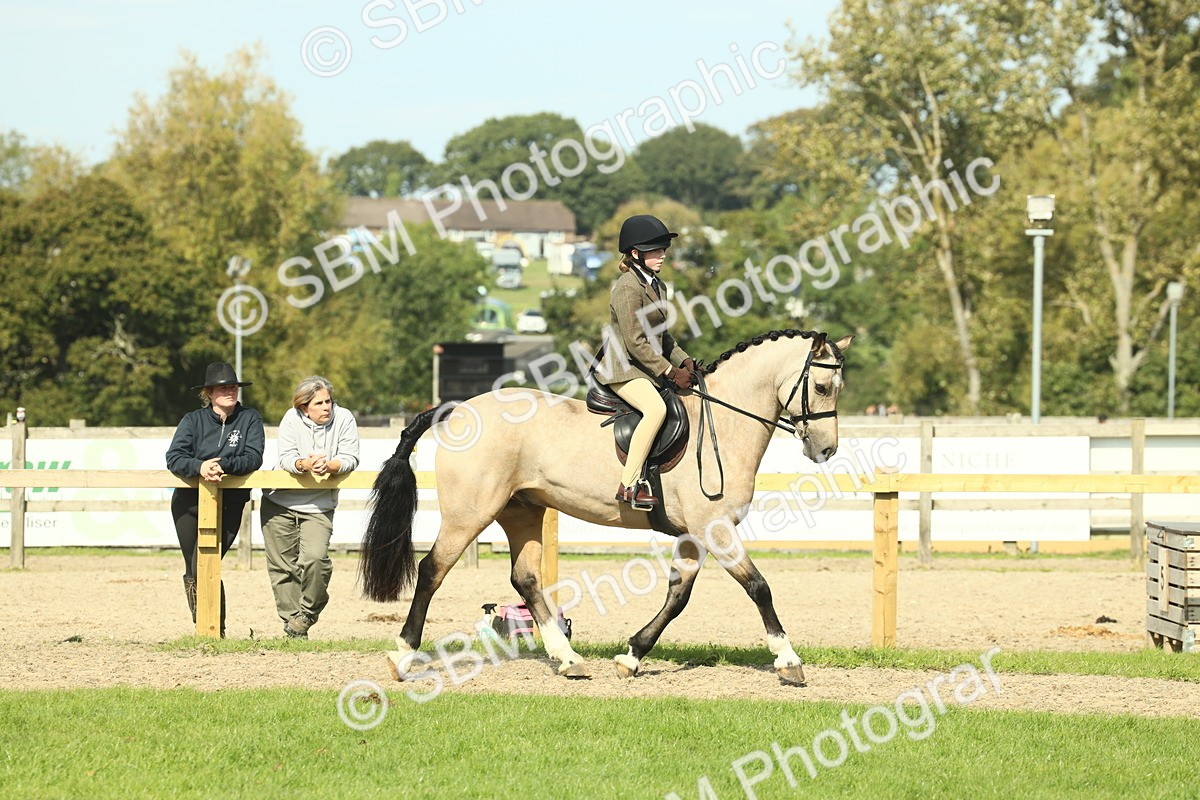 SBM_67616 - S56 - Coloured Pony Ridden