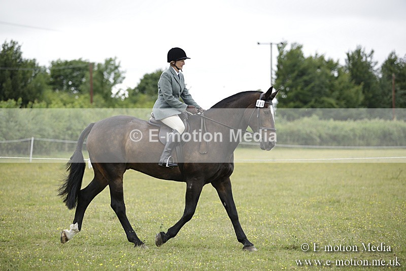 BVR160717-1508 - Ring 1 BVRC Show 16/07/17