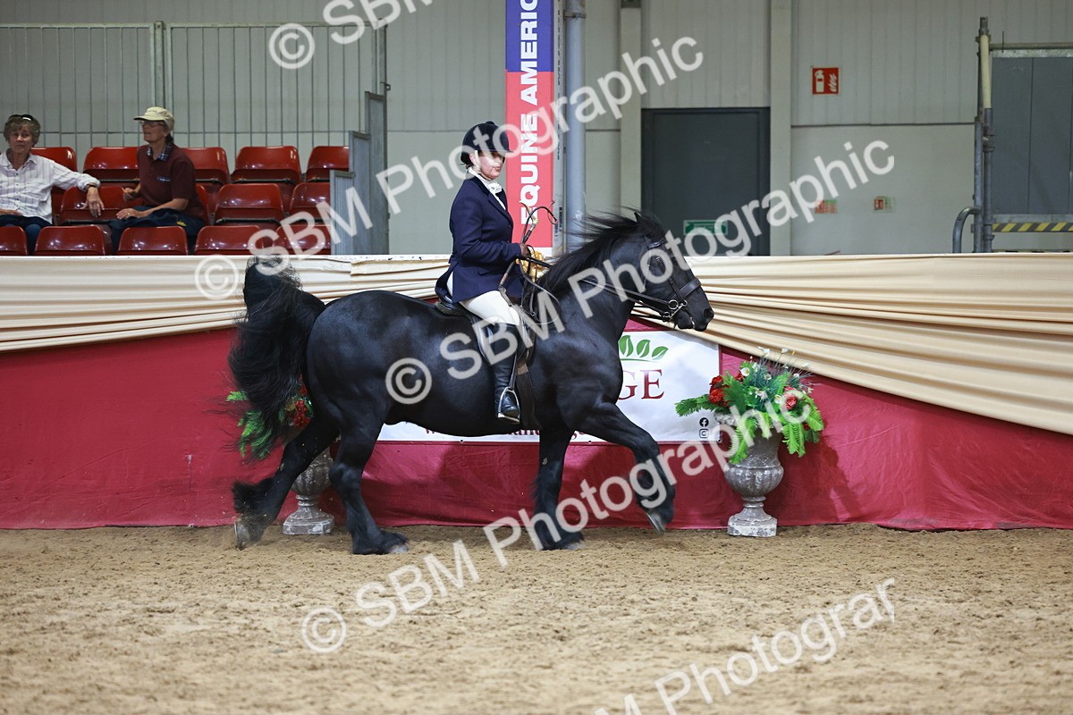 SBM_18739 - Class 952 - M&M Ridden Supreme Final