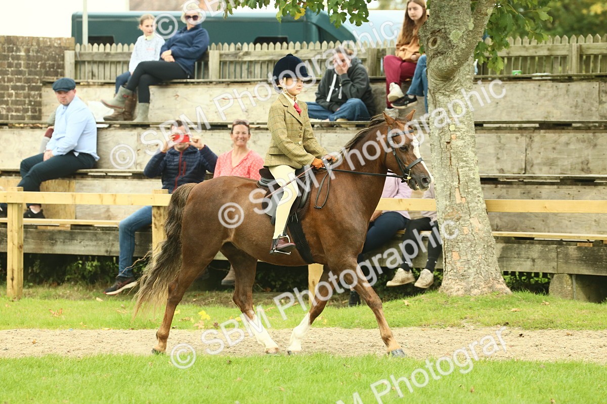 SBM_69897 - S59 - Mountain & Moorland Ridden Small Breeds