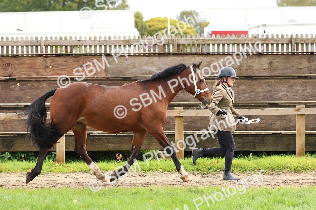 SBM_40752 - S25 -  Veteran In Hand