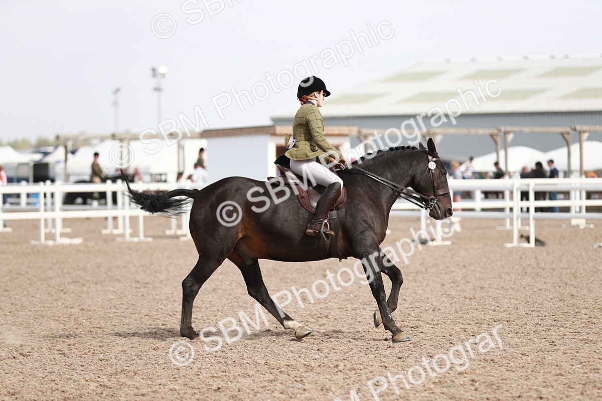SBM_14906 - Class 212 Ridden Hunter - Small