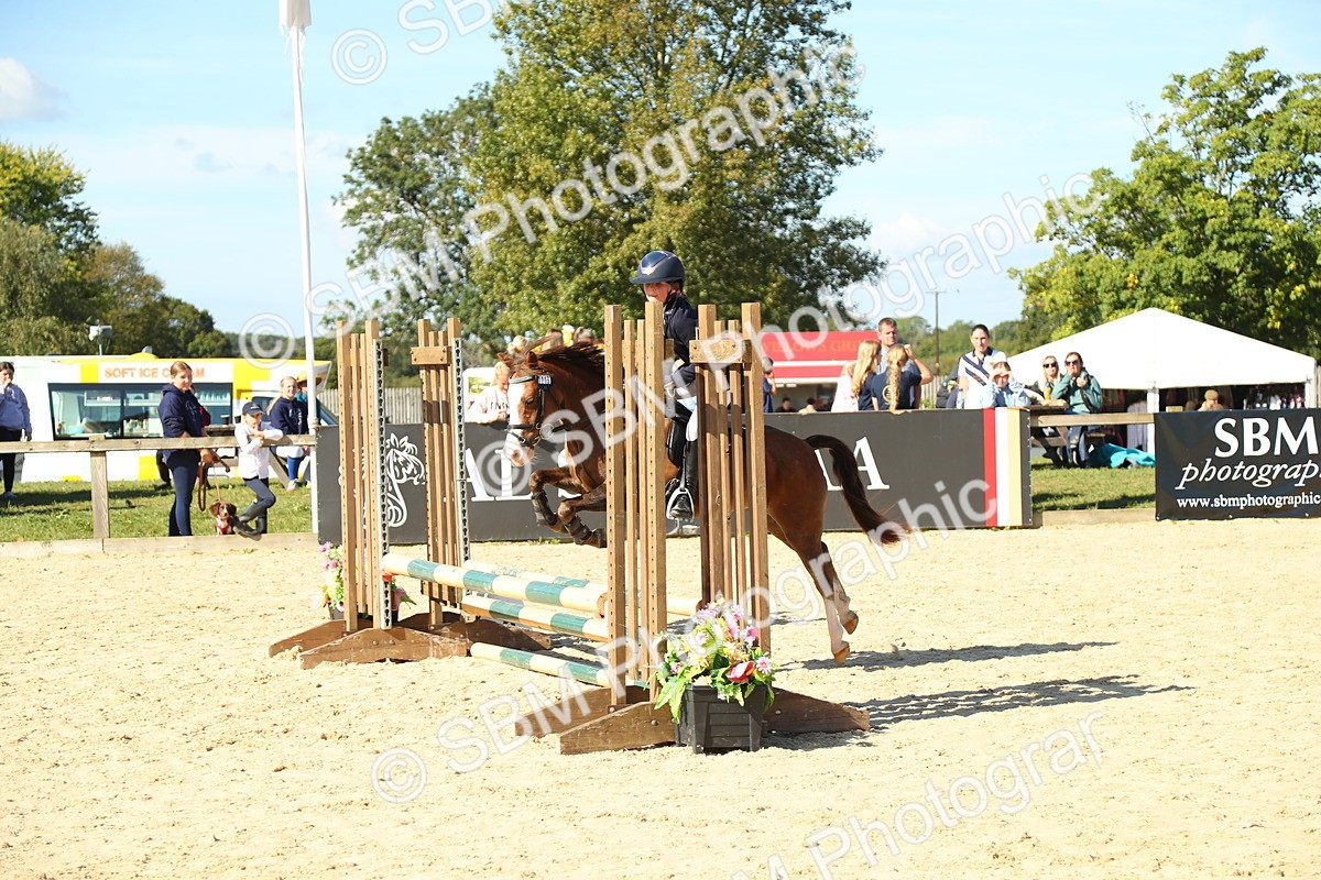 SBM_39304 - J6 - Junior Pony 55cm Championships