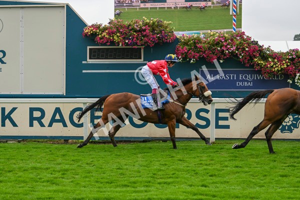 080924-Pony Race-8518 - Pony Race 1.00pm The Dragon (TV and Film) Studios Pony Race 148cm & Under