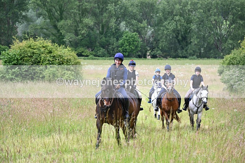 WJ6_7899 - Camera 1 Gallops