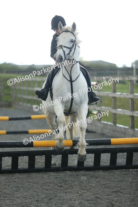 20260412-1928 - Show Jumping