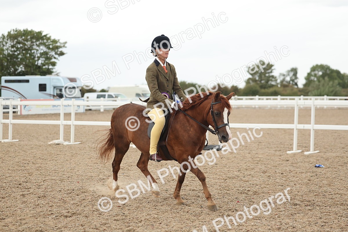 SBM_19220 - Class 316 - Best Pony-Rider Combination