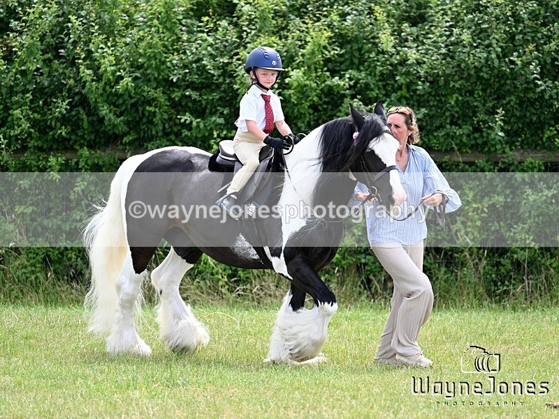 WJ7_8117 - Nancy And Churchill SORC summer show 21-06-26