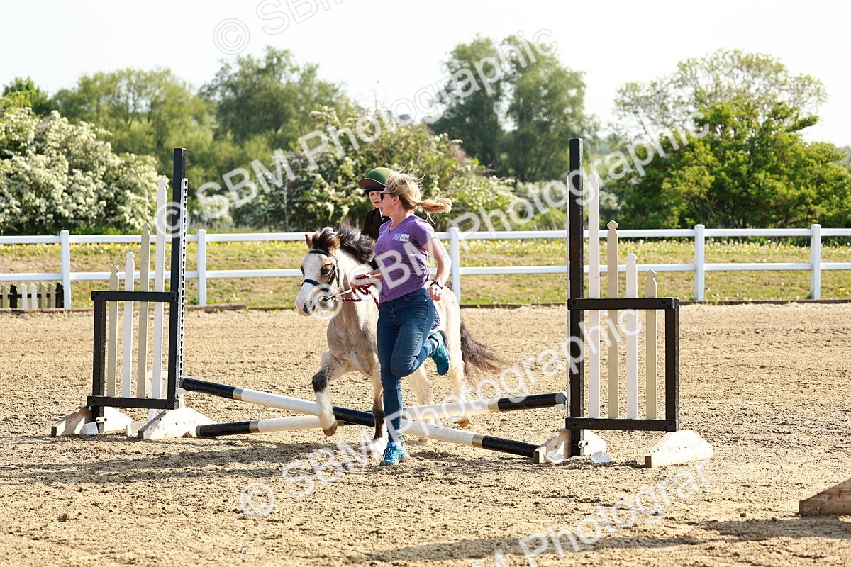 SBM_006288 - Class 1 - 40cm