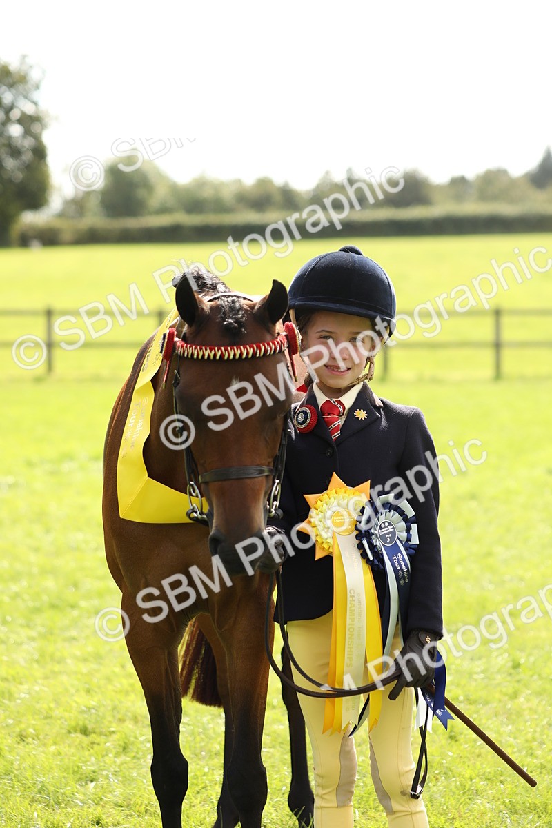 SBM_66351 - In Hand Pony & Youngstock Supreme Championship