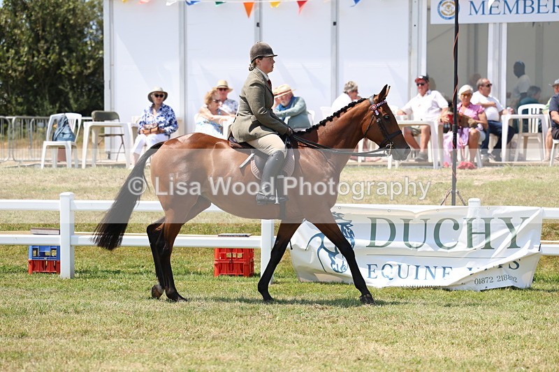 3E7A9279 - Class 12: Open Racehorse to Show Horse
