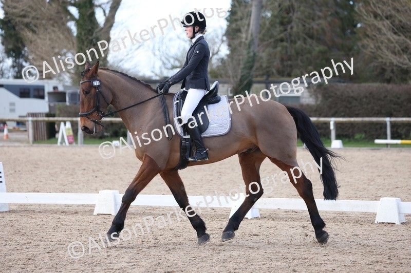 20260228-0800 - Class 6 - Novice 3