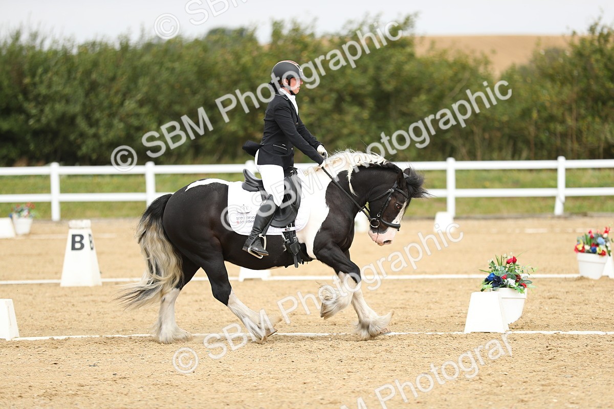 SBM_016455 - Class 13 - Novice 23 - 11.25-12.35