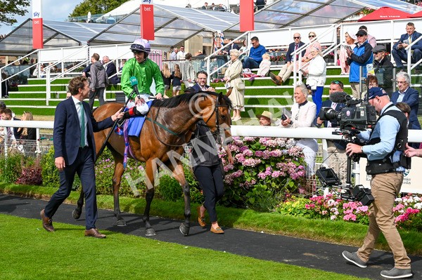 240824-Race 3-Breege-0633 - Race 3 3.00pm Sky Bet City Of York Stakes