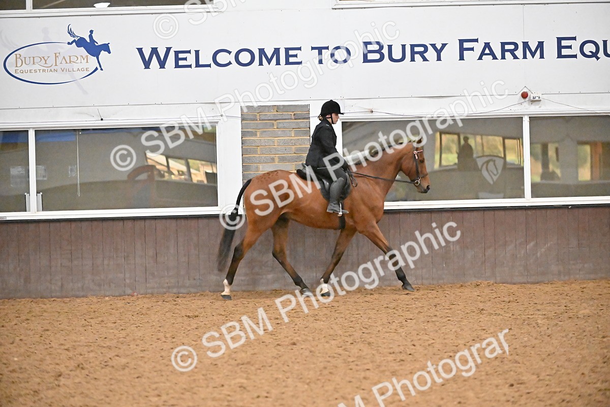 SBM_002998 - Class 37,38 - UKPSAF Performance Horse & Pony