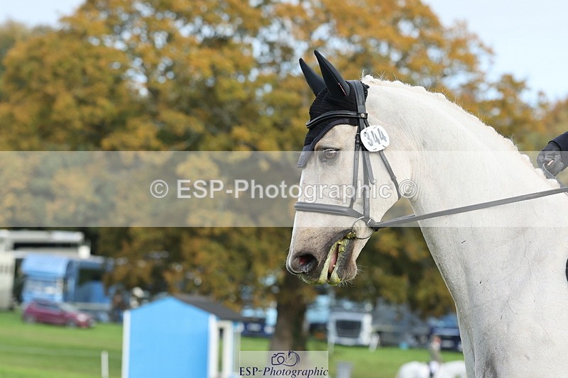 251024A-102238-07741 - D-344-Johanne.Heuff