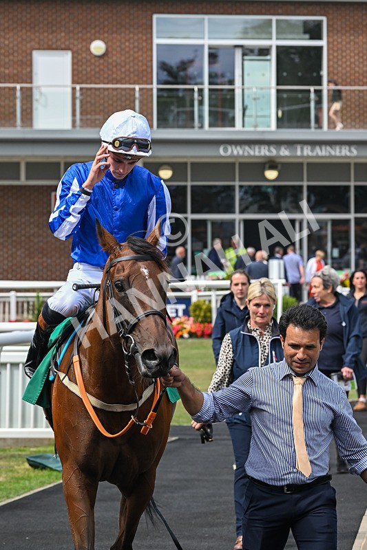 080825-Race 2-Daneh Of Dandy-2041 - Race 2