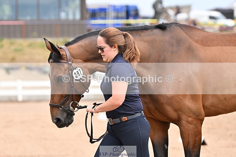 250716-154201-02141 - Trot Up 3.30 to 4.30