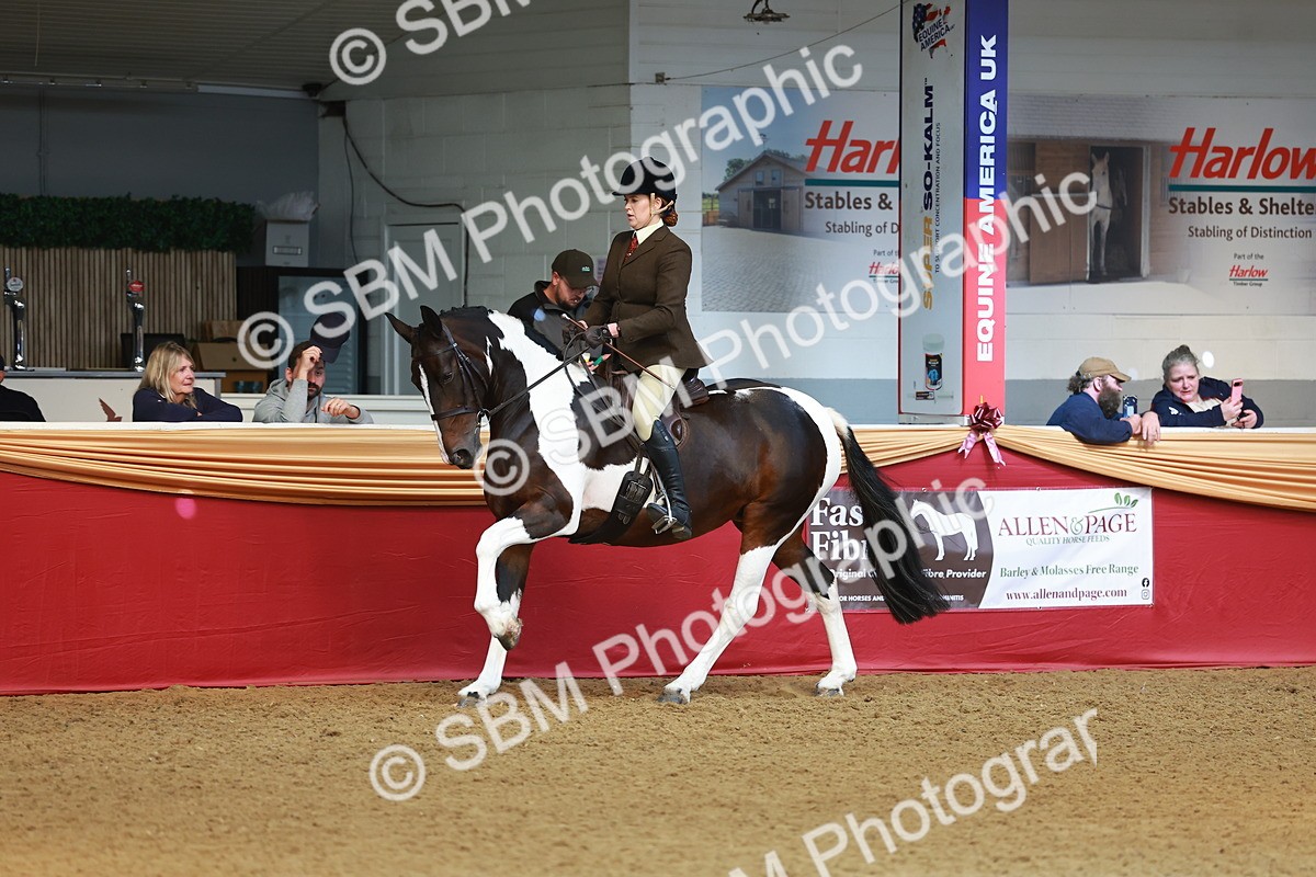 SBM_09766 - Class 102 - HOYS Veteran Qualifier - Ridden Veteran
