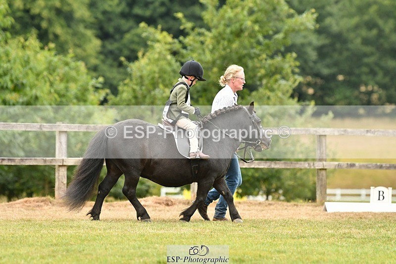 250820A-113447-05153 - 11am to 12