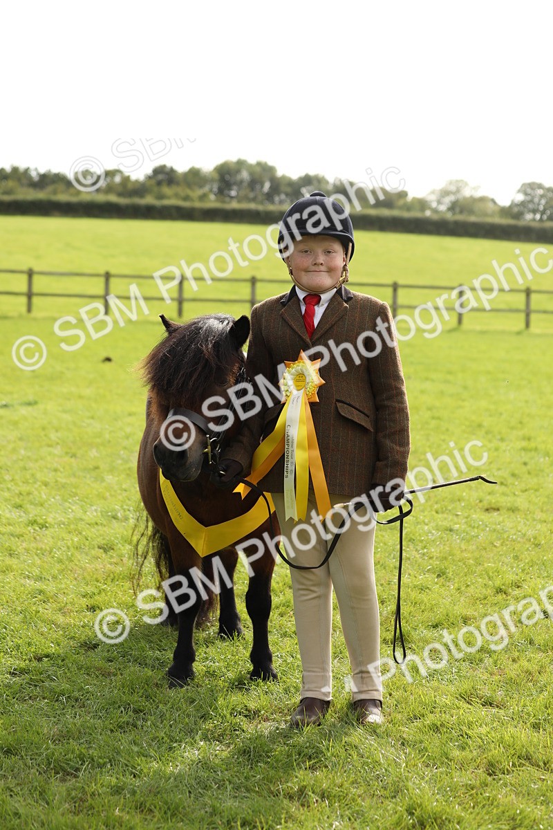 SBM_68729 - S40 - Junior Handler 9-12 Years