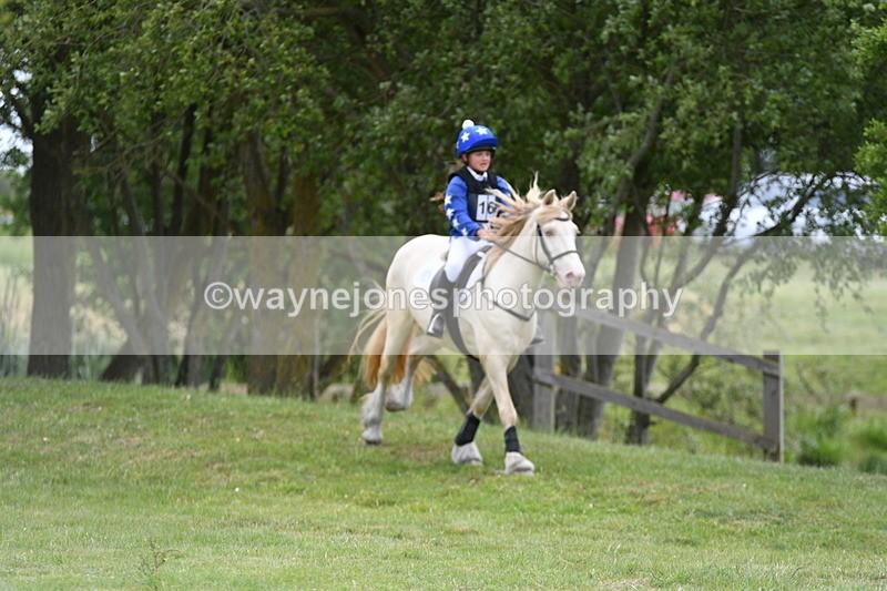 WJ5_2706 - Class 2 40cm