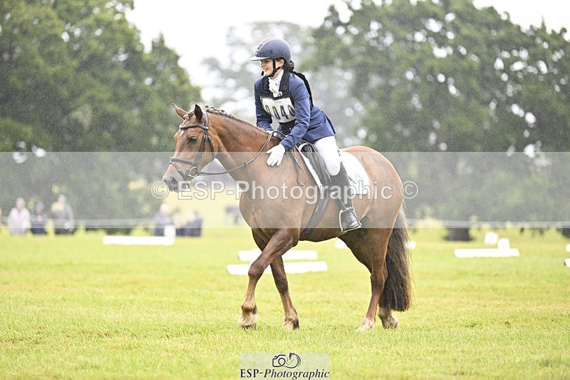 240824X-101724-21600 - D70 Section A and B 9.30 to 10.40