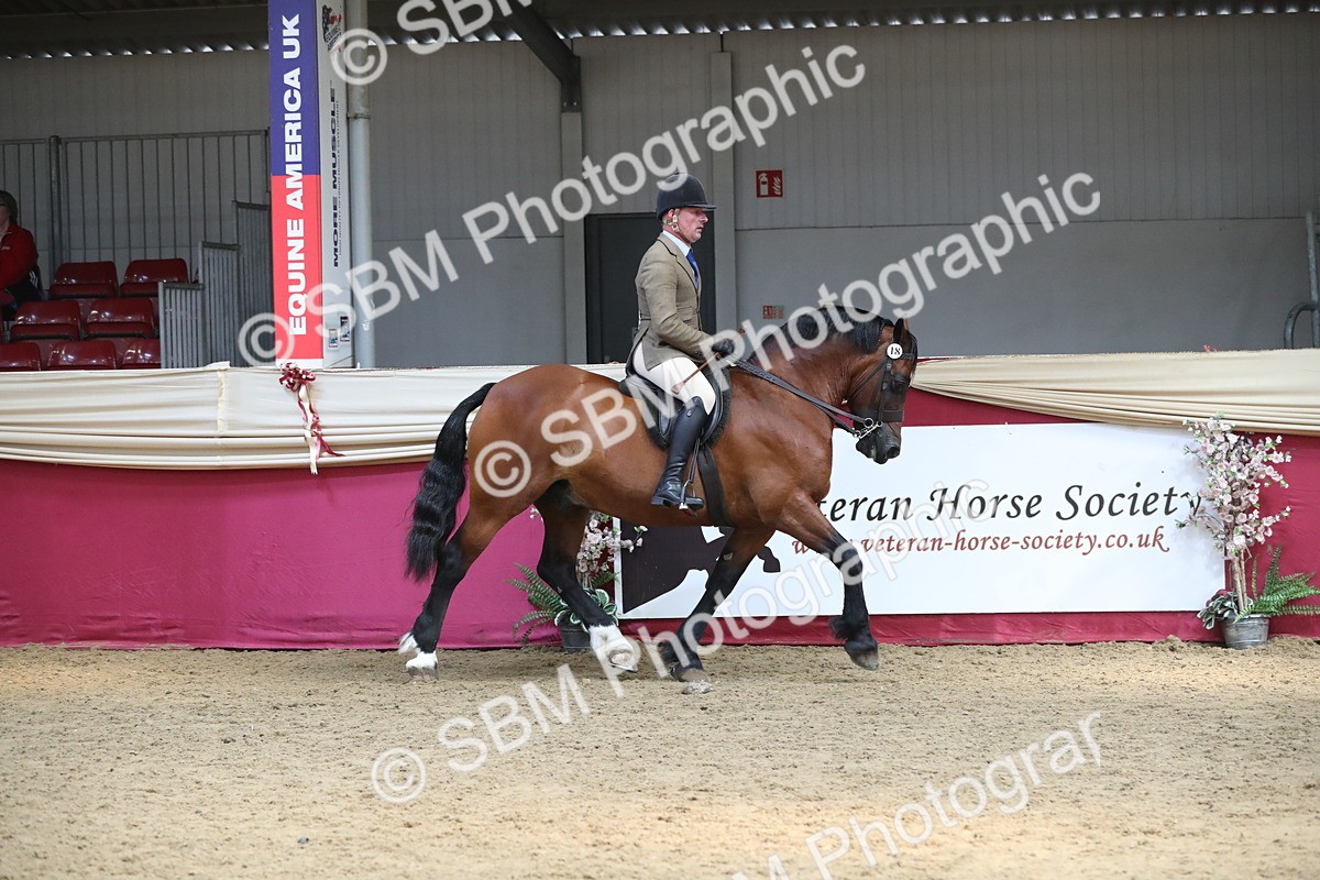 SBM_16305 - Class 502 M&M Ridden Supreme Final