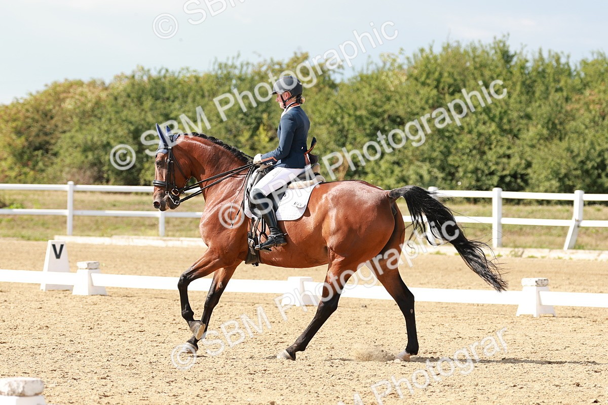 SBM_002519 - Class 11 - Medium 6