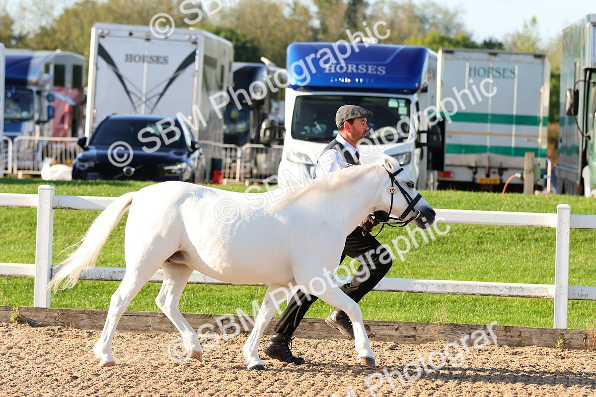 SBM_07983 - Class 201 - Best Turned Out - IH
