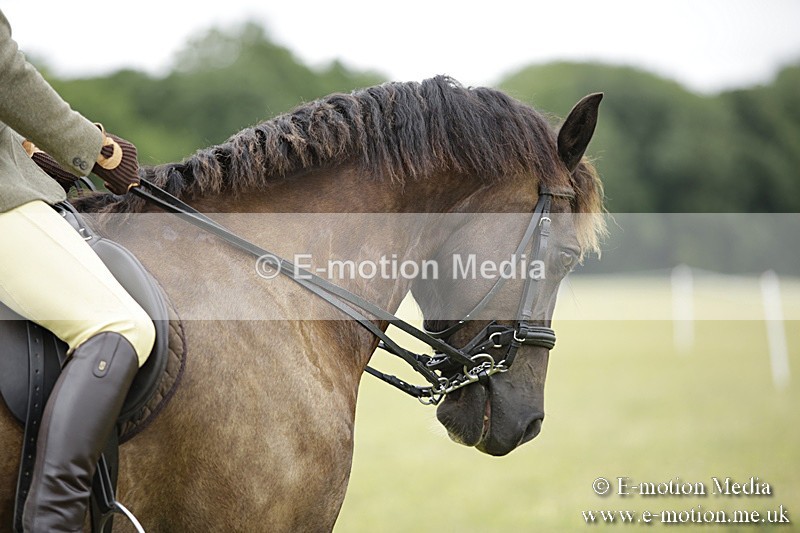 BVR160717-1317 - Ring 1 BVRC Show 16/07/17