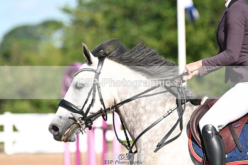 240728A-092803-07576 - Cls 33 Snr British Novice and 90cm Open