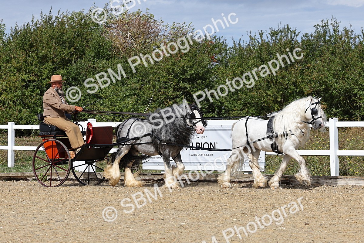 SBM_001267 - Class 16 - Pairs ,Multiples and Tandems