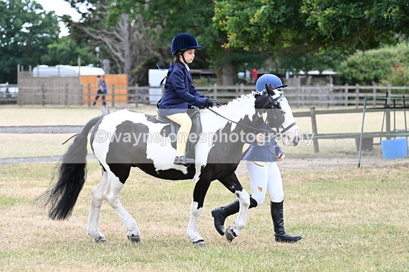 WJ7_9600 - Class 1 Lead Rein Pony