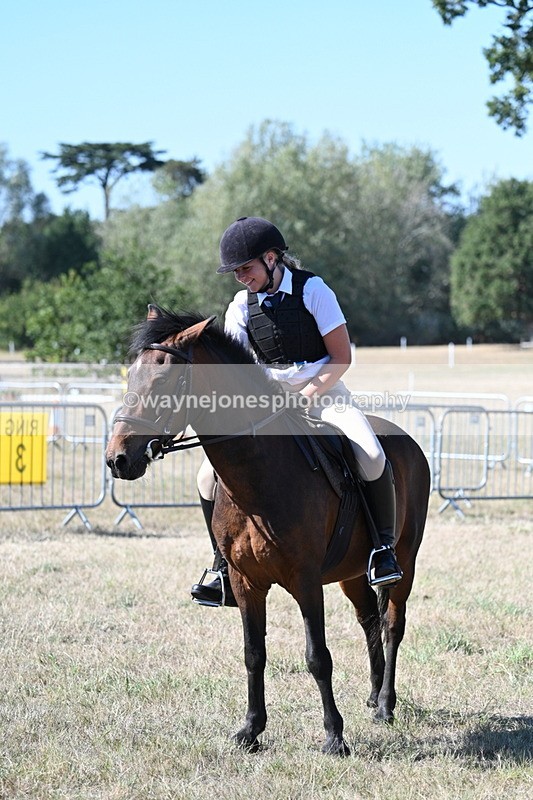 WJ7_1652 - Class 42 Most Handsome Gelding