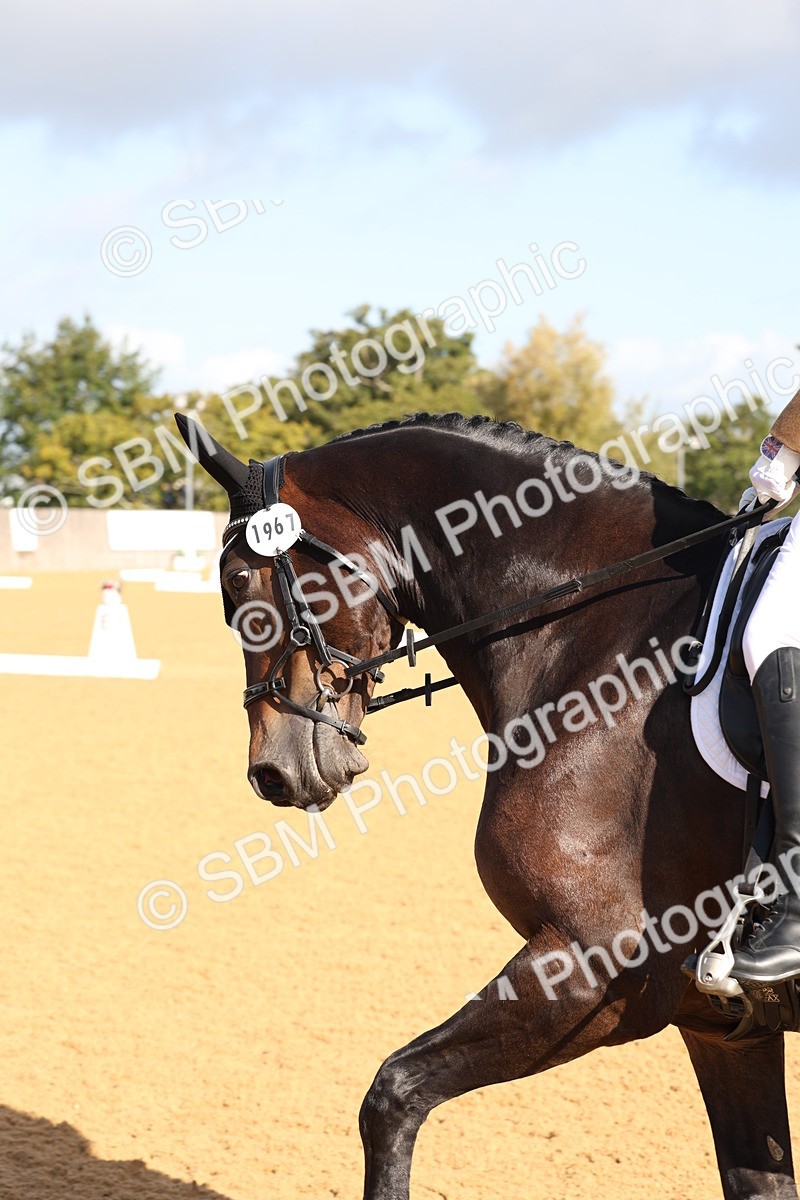 SBM_16234 - D10 - Small Tour Championship Prelim 2