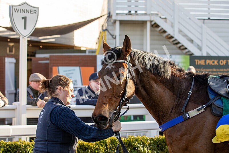 050325-Race 4-Hostile Hotelier-6997 - Race 4