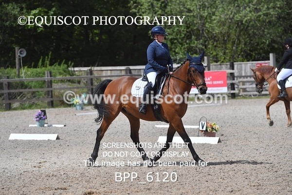 BPP_6120 - 24 L HAMILTON