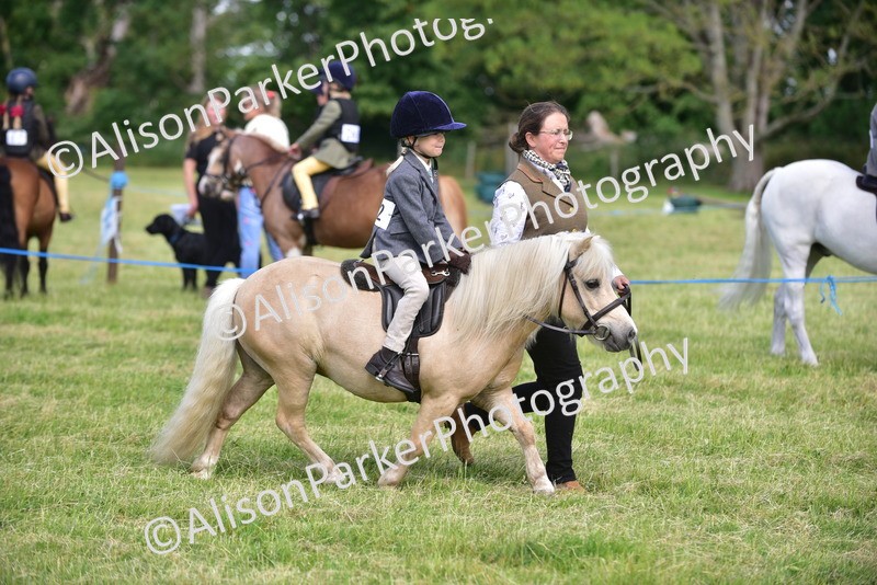 20260614-1132 - Class 11a - Lead Rein Pony (Unplaited)