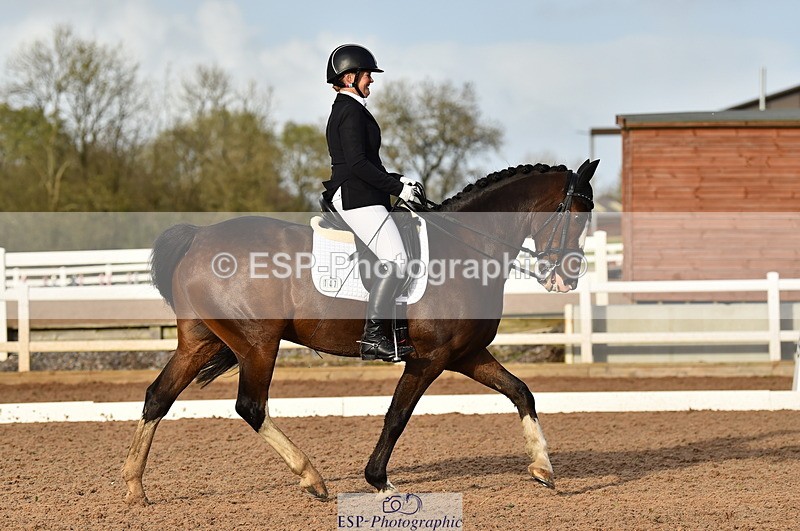 231104A-140208-02008 - Cls 10 Medium 61