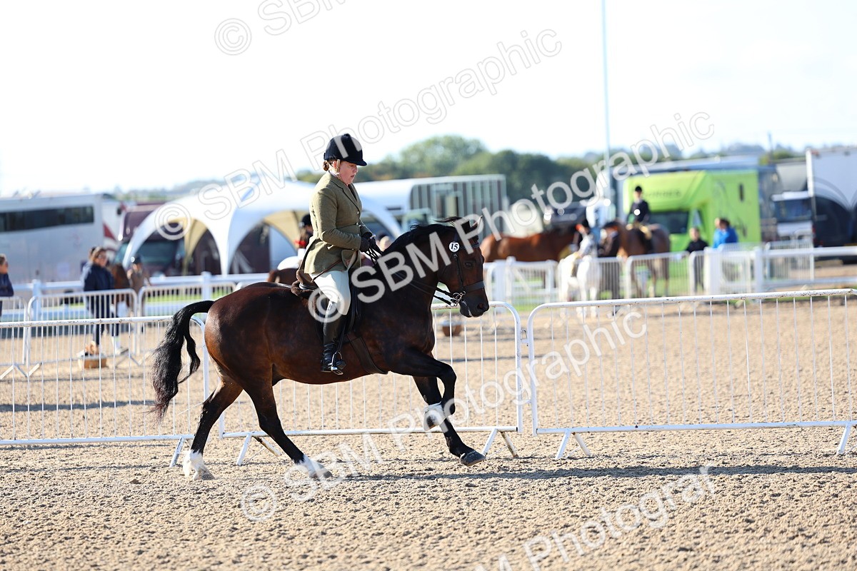 SBM_08771 - Class 302 - Ridden M&M - Large Breeds