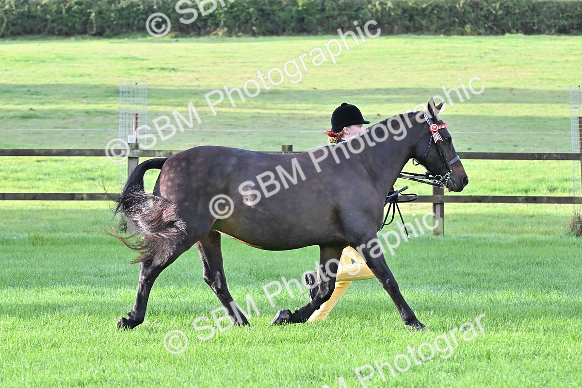 SBM_32609 - S15 - Top Turnout In Hand