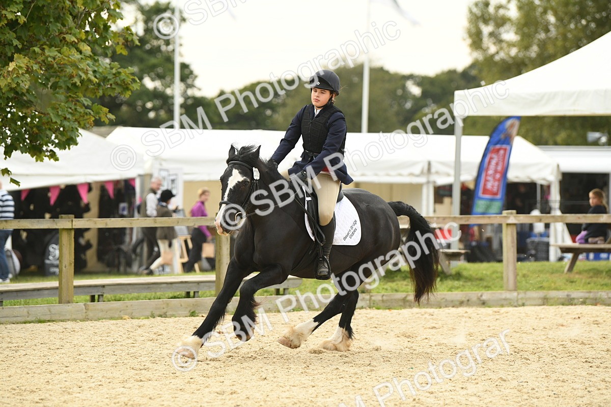 SBM_75745 - Supreme Championship
